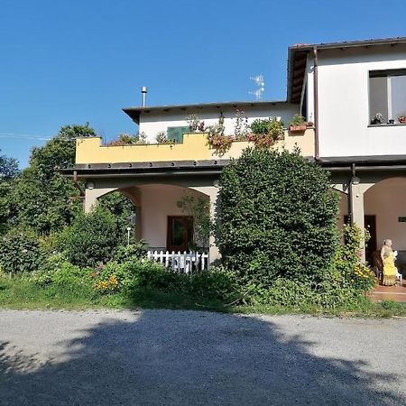 Le Camelie Villa Polverara Exteriör bild