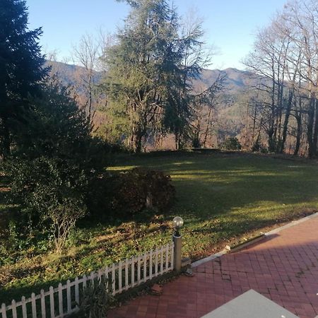 Le Camelie Villa Polverara Exteriör bild