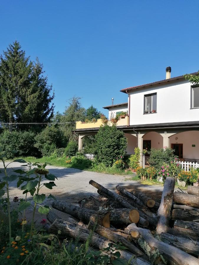 Le Camelie Villa Polverara Exteriör bild