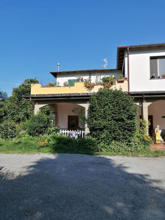 Le Camelie Villa Polverara Exteriör bild