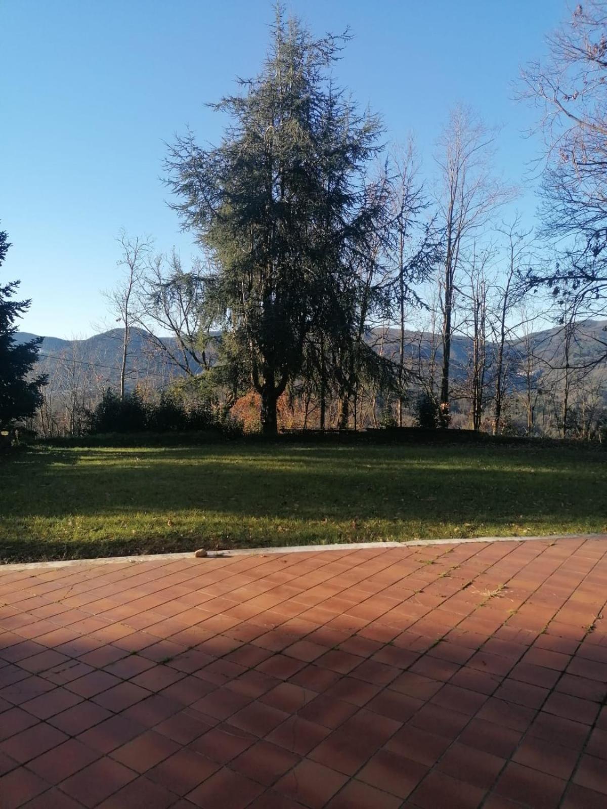Le Camelie Villa Polverara Exteriör bild